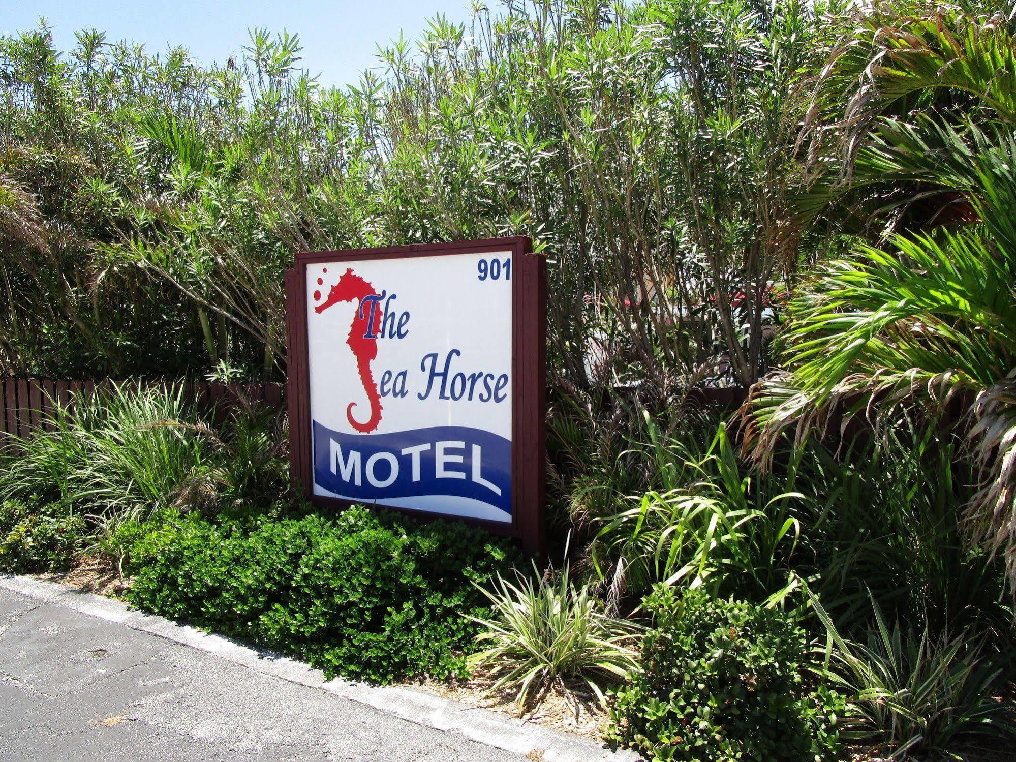 Seahorse Guesthouse Pompano Beach Dış mekan fotoğraf