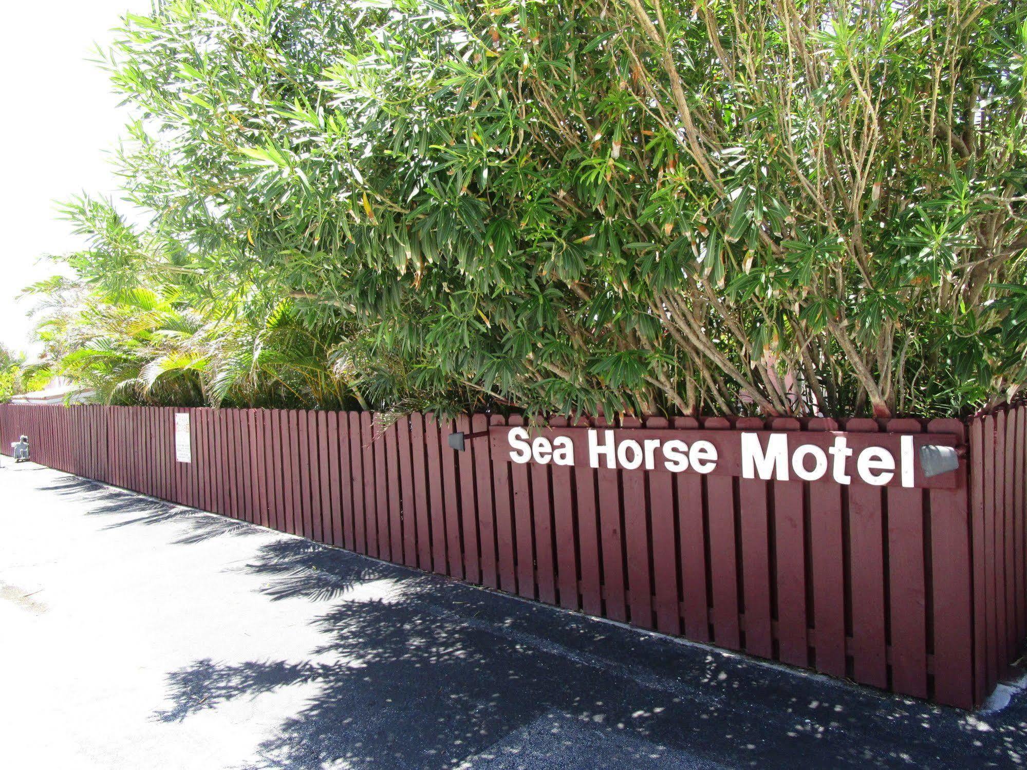 Seahorse Guesthouse Pompano Beach Dış mekan fotoğraf